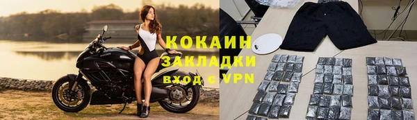 шишки Нягань
