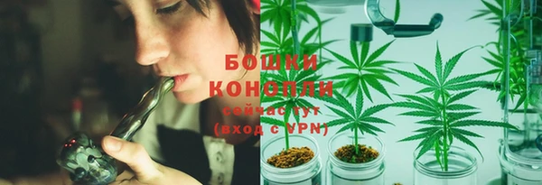 прущие грибы Нязепетровск