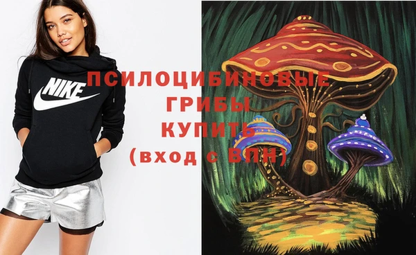 шишки Нягань