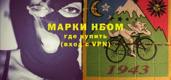 шишки Нягань