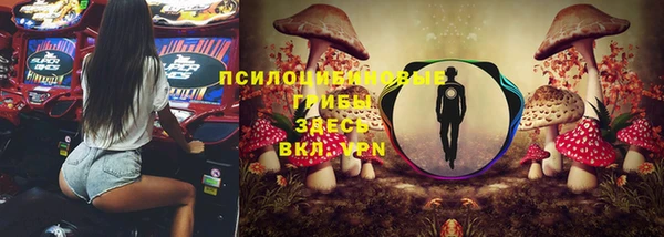 мяу мяу кристалл Няндома