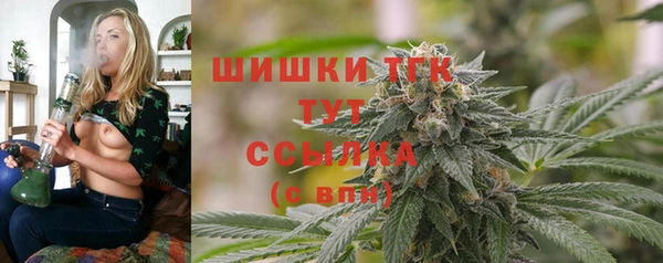 индика Зеленокумск